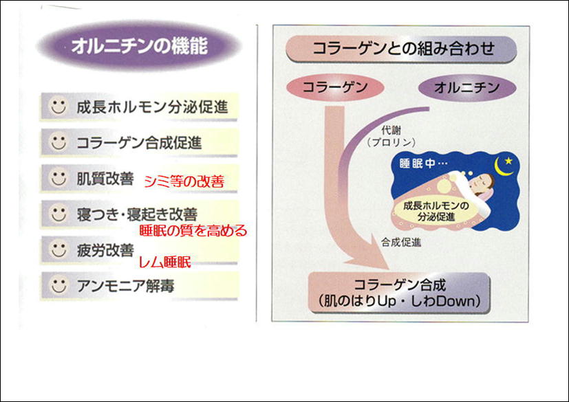 オルニチン配合純コラーゲンリッシュ顆粒粉末150g￥2,080