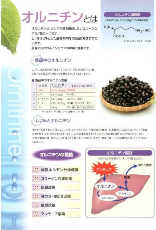 オルニチン配合純コラーゲンリッシュ顆粒粉末150g￥2,080