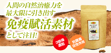 メシマコブ3倍特濃粒徳用120g　約480粒　