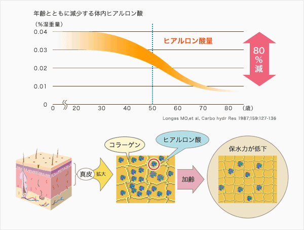 ナノヒアロ海のコラーゲン顆粒(ナノヒアルロン酸+オルニチン)310g　50%OFF 1袋～10袋 　