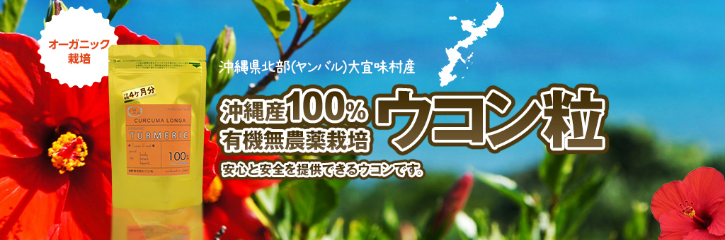 沖縄県北部（ヤンバル）大宜味村産沖縄産100%有機無農薬栽培ウコン粒安心と安全を提供できるウコンです。